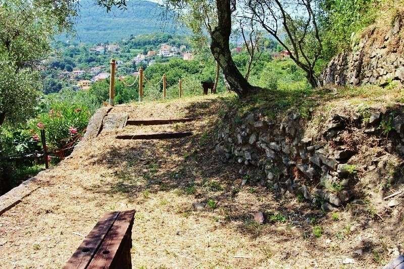  - foto 43