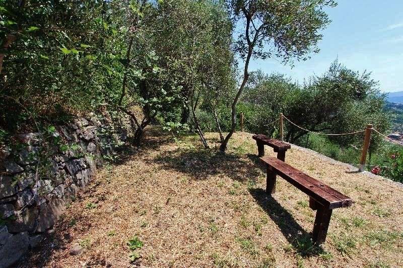  - foto 47