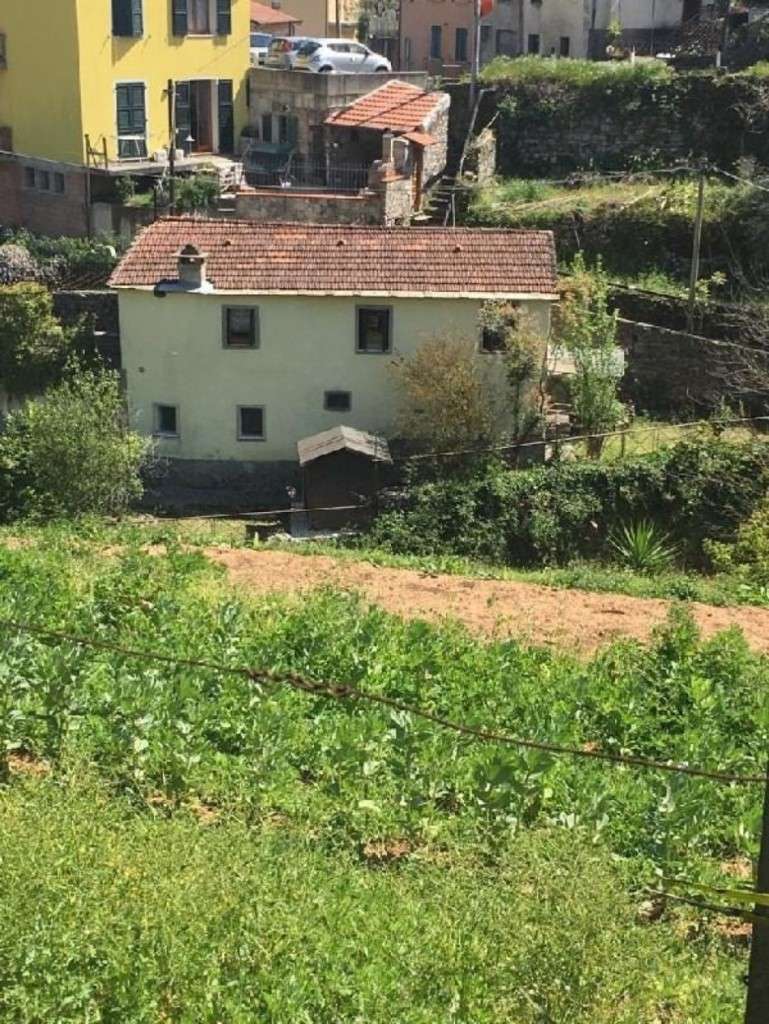  - foto 2