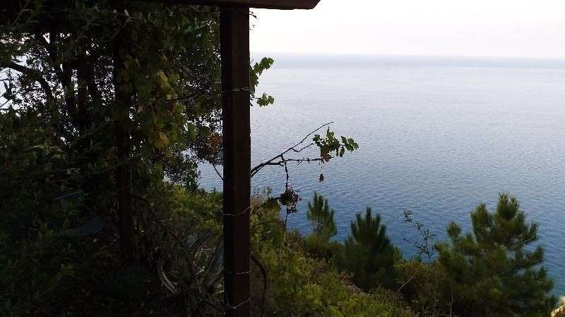  - foto 13