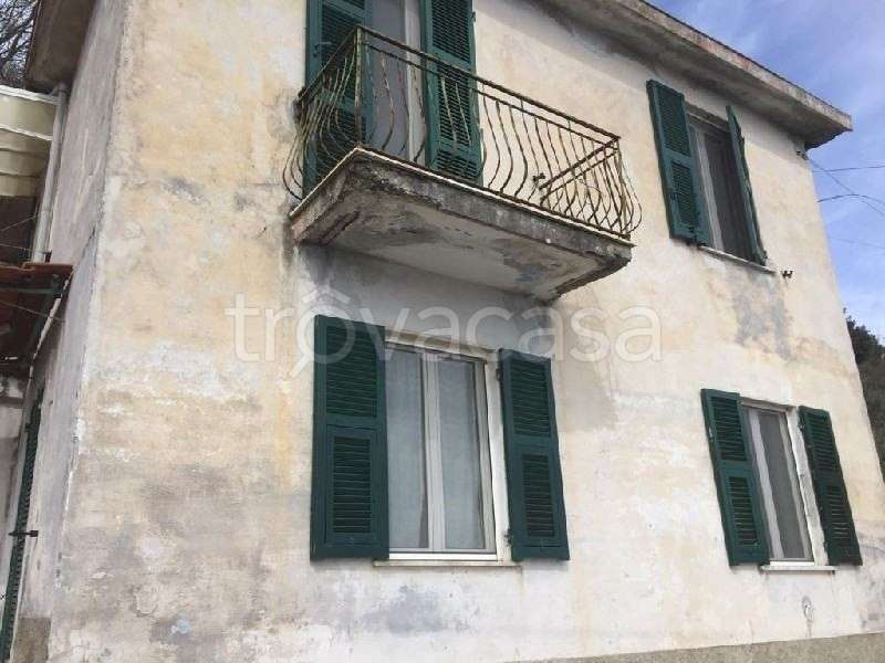 - foto 31