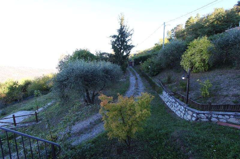  - foto 5