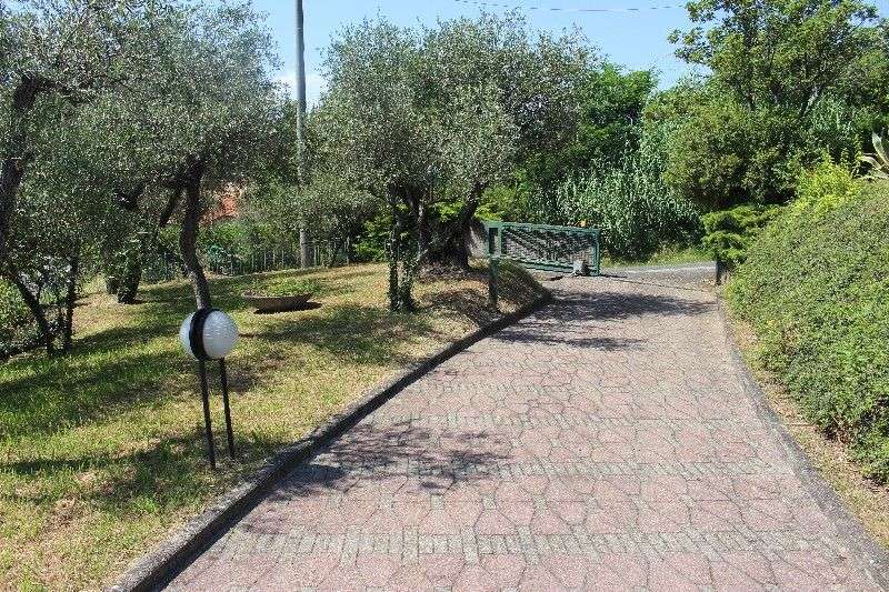  - foto 28
