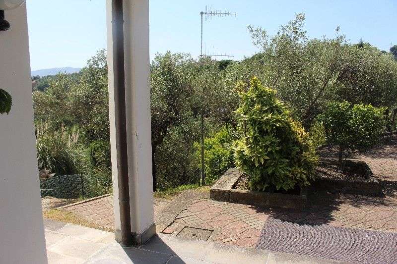  - foto 50