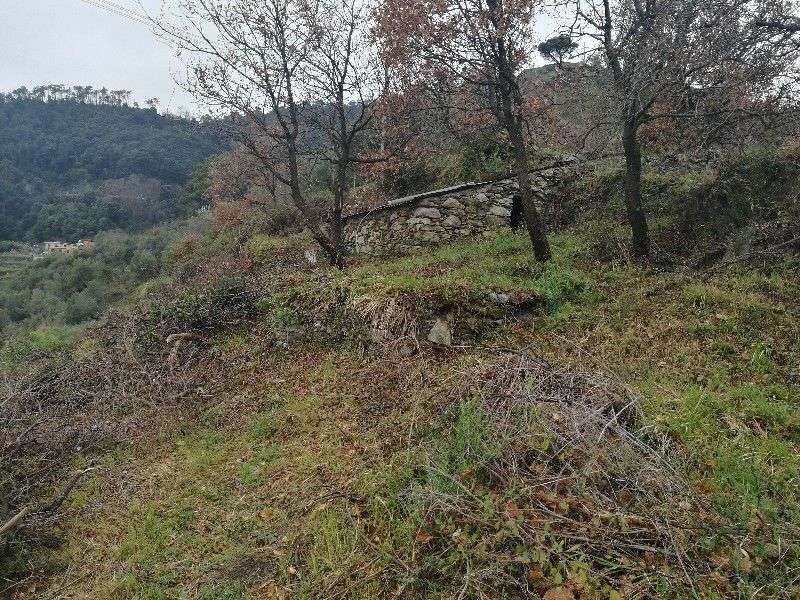  - foto 4