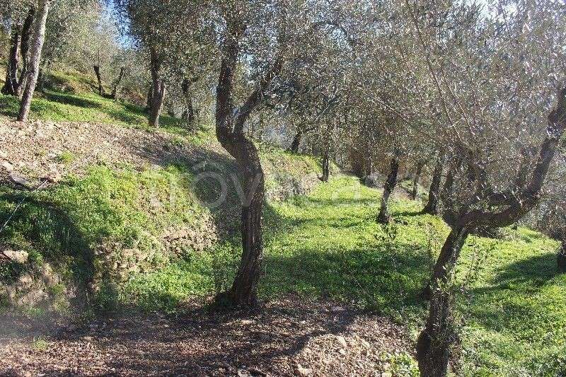 immagine annuncio 6 di 14