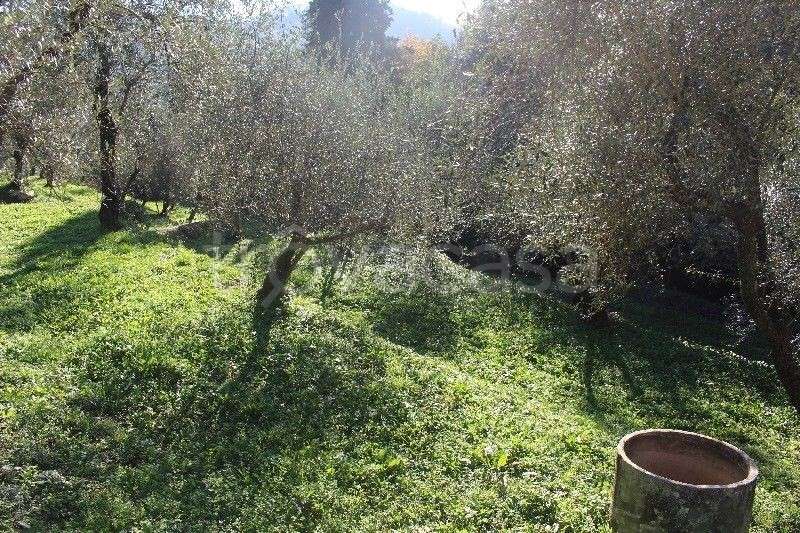 immagine annuncio 7 di 14