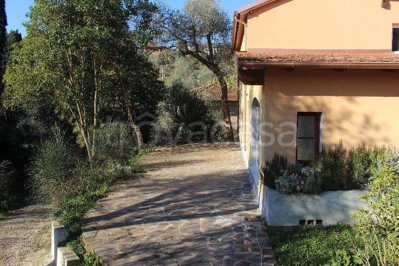 immagine annuncio 8 di 14