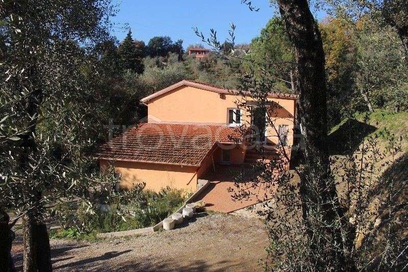 immagine annuncio 10 di 14