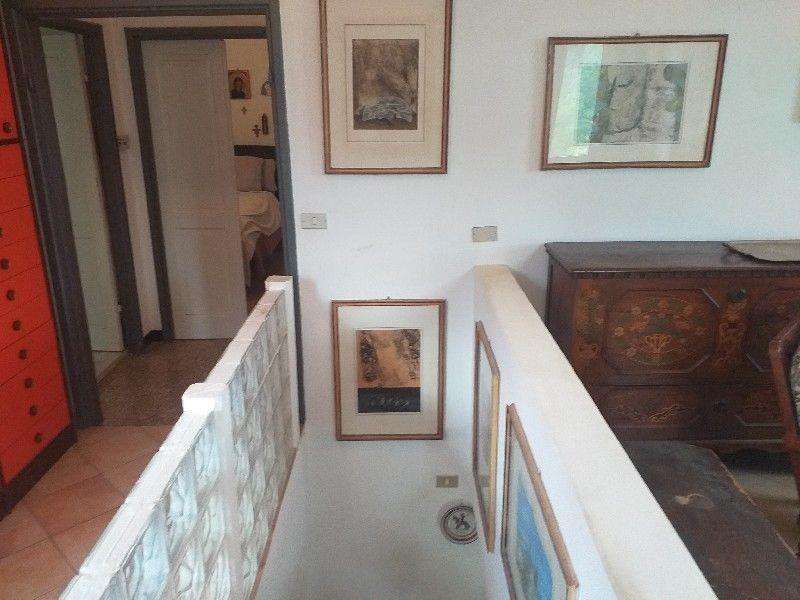  - foto 41