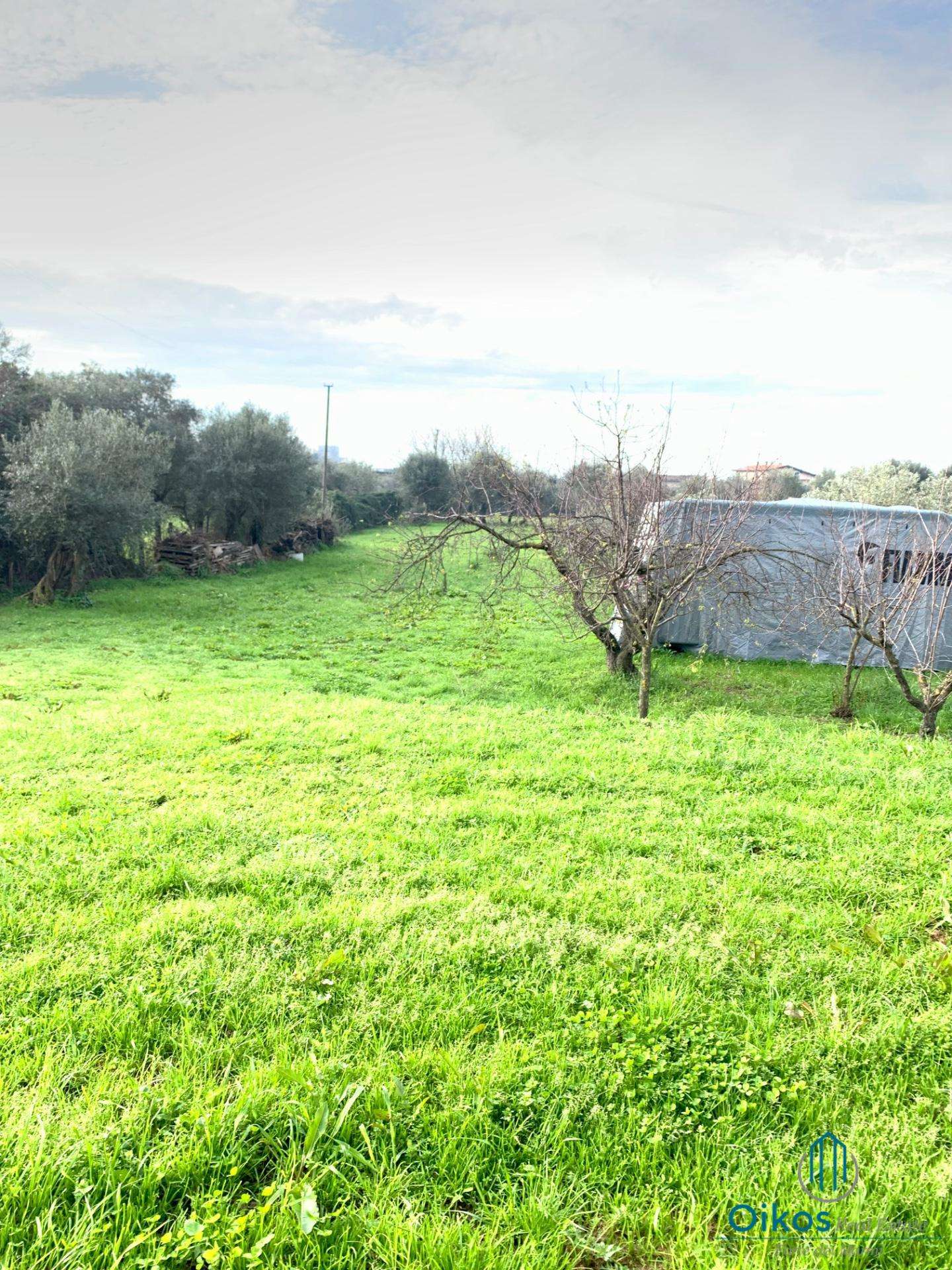  - foto 19