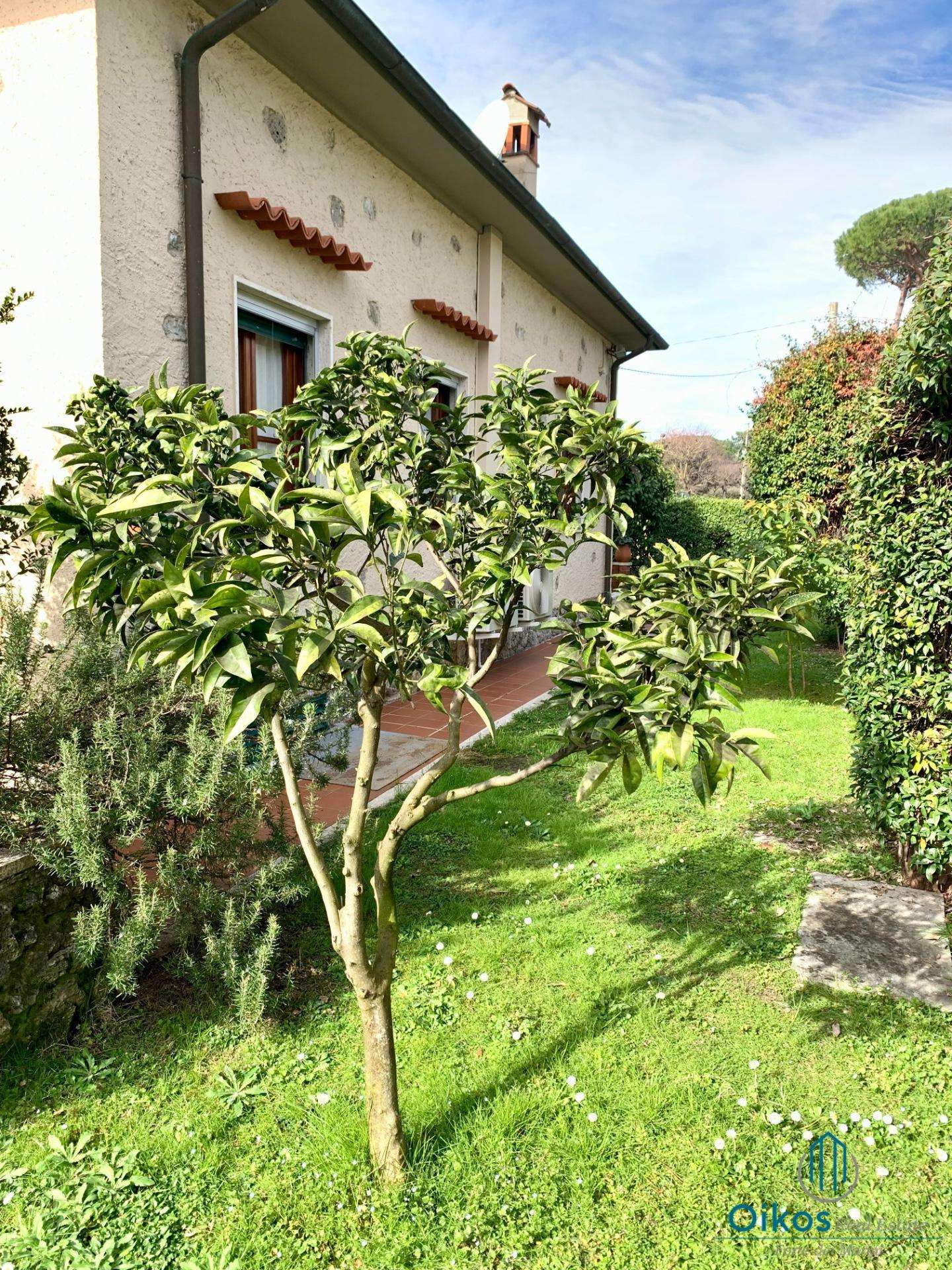  - foto 32