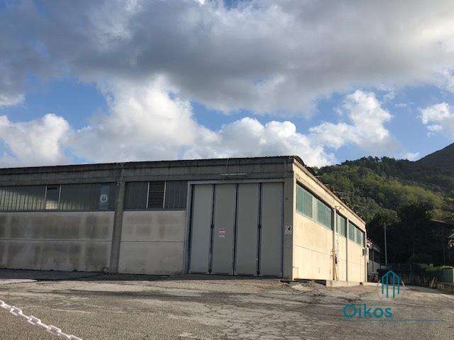 immagine annuncio 7 di 8