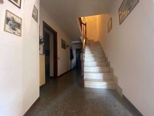  - foto 9