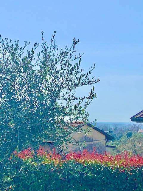  - foto 23