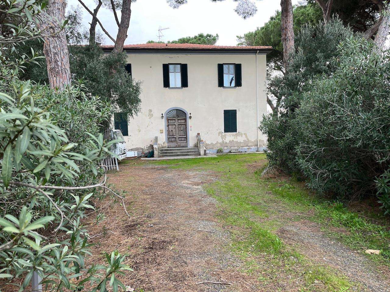 immagine annuncio 4 di 6