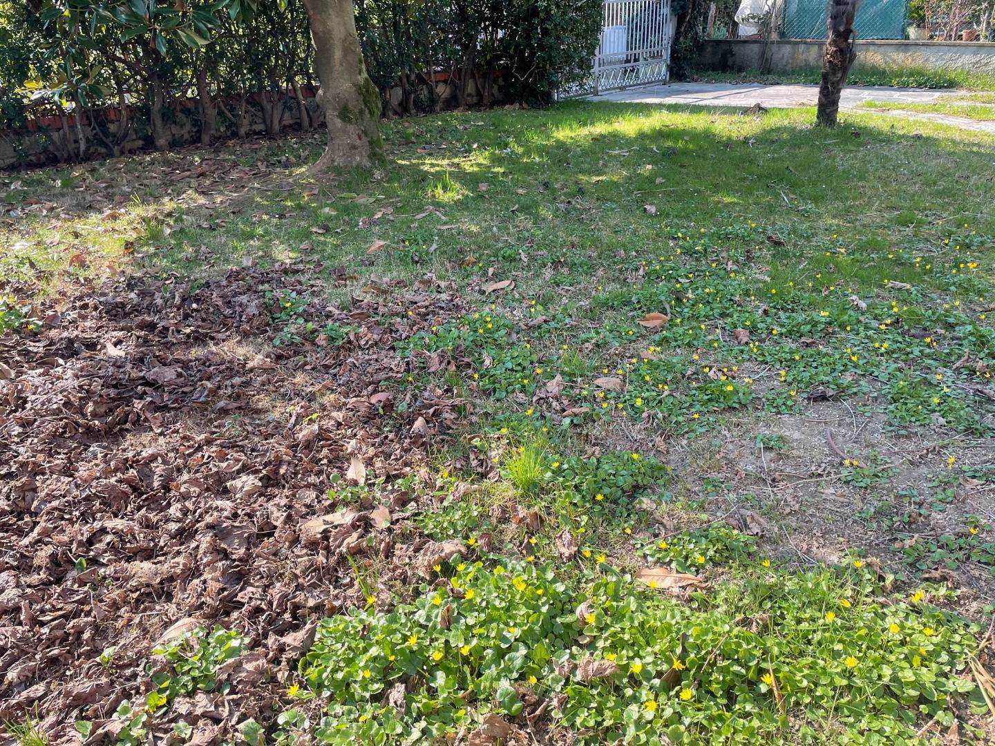  - foto 17