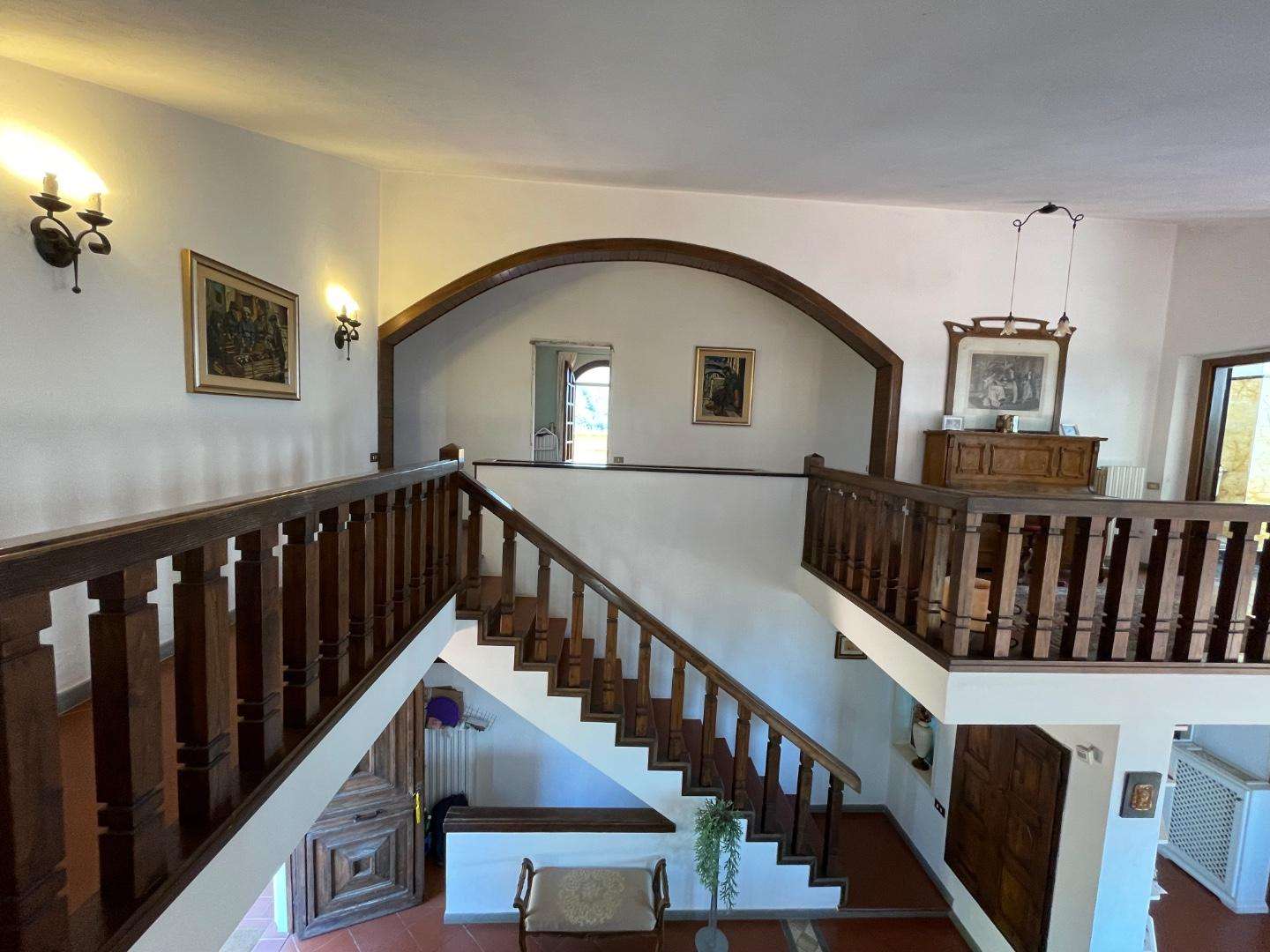  - foto 46