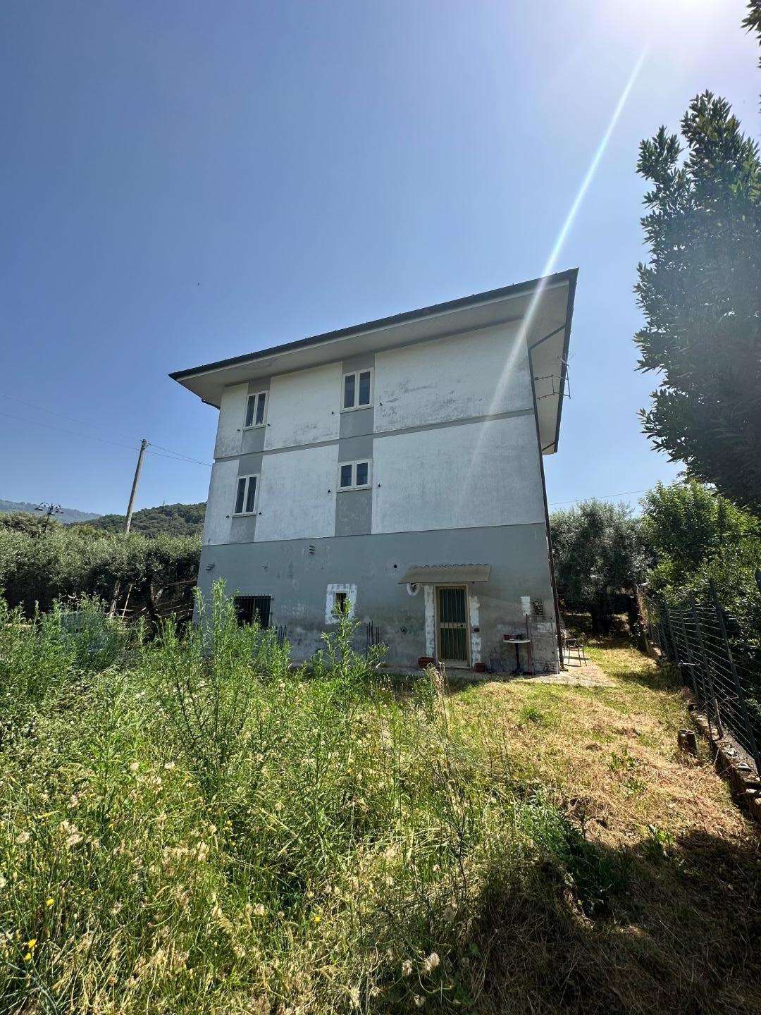 immagine annuncio 1 di 4