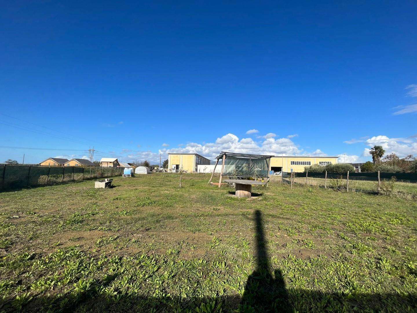 Terreno agricolo in Vendita a Crespina Lorenzana Via Lavoria, 101