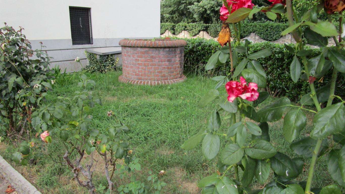  - foto 4