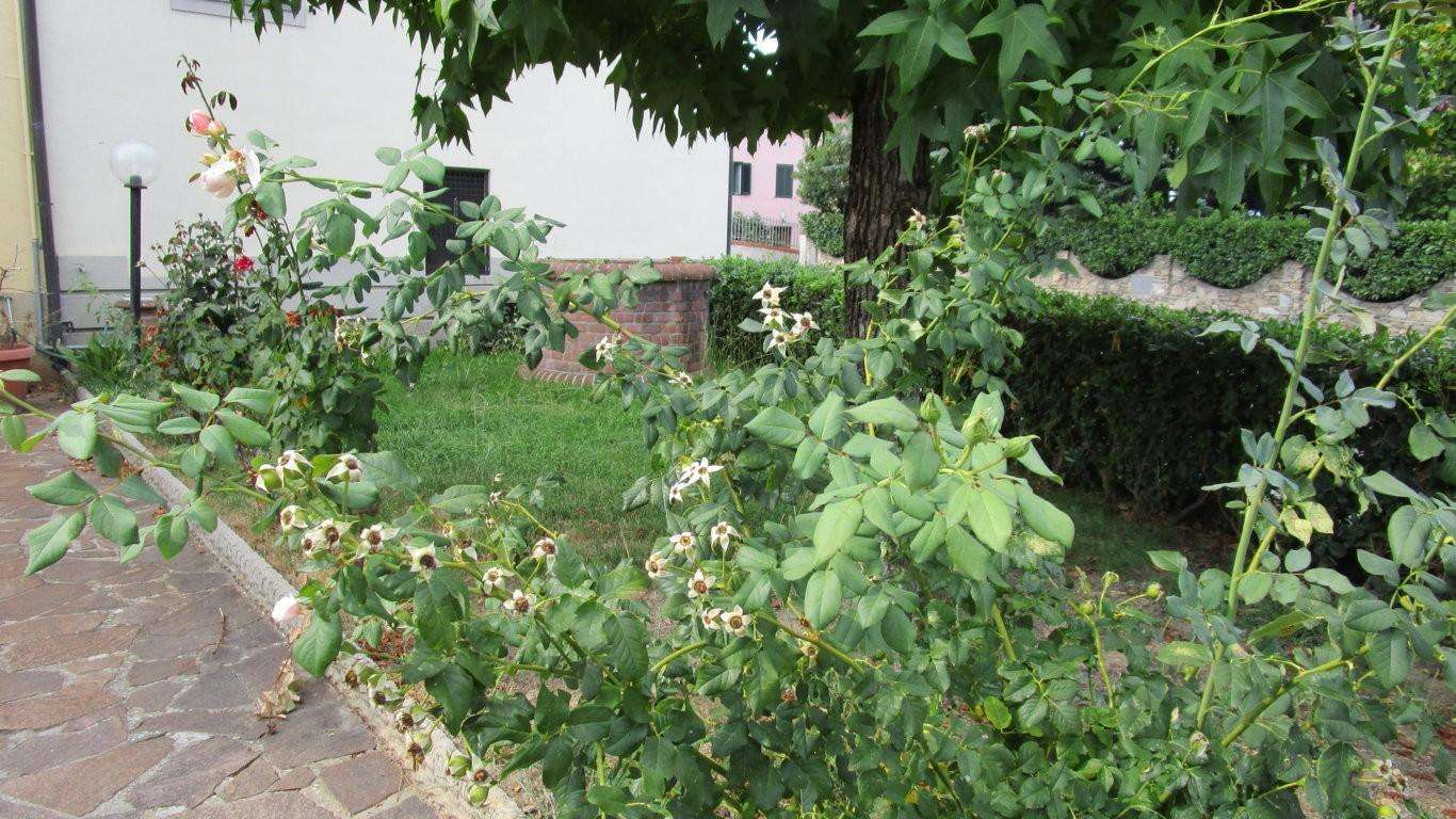  - foto 5