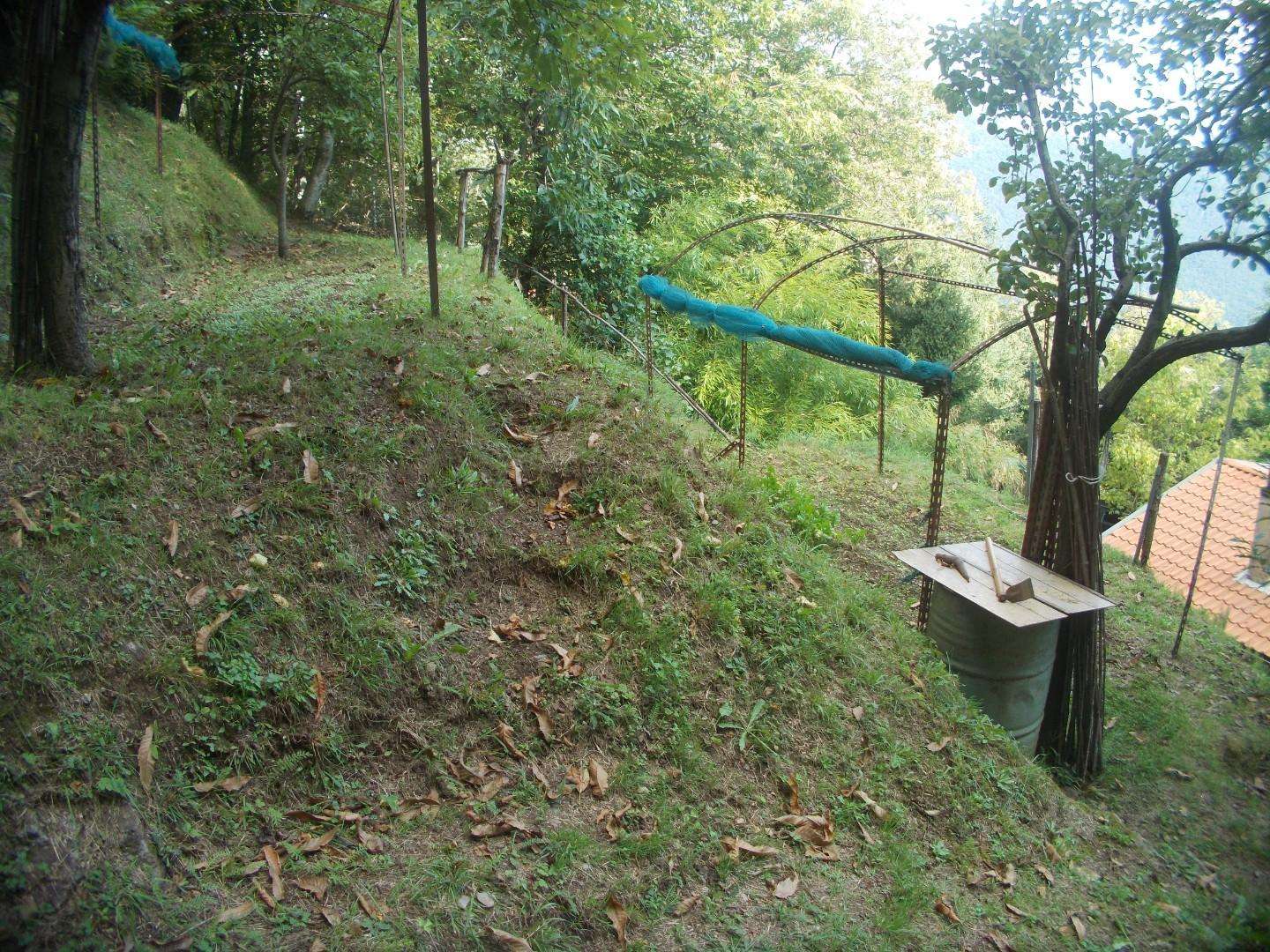  - foto 8