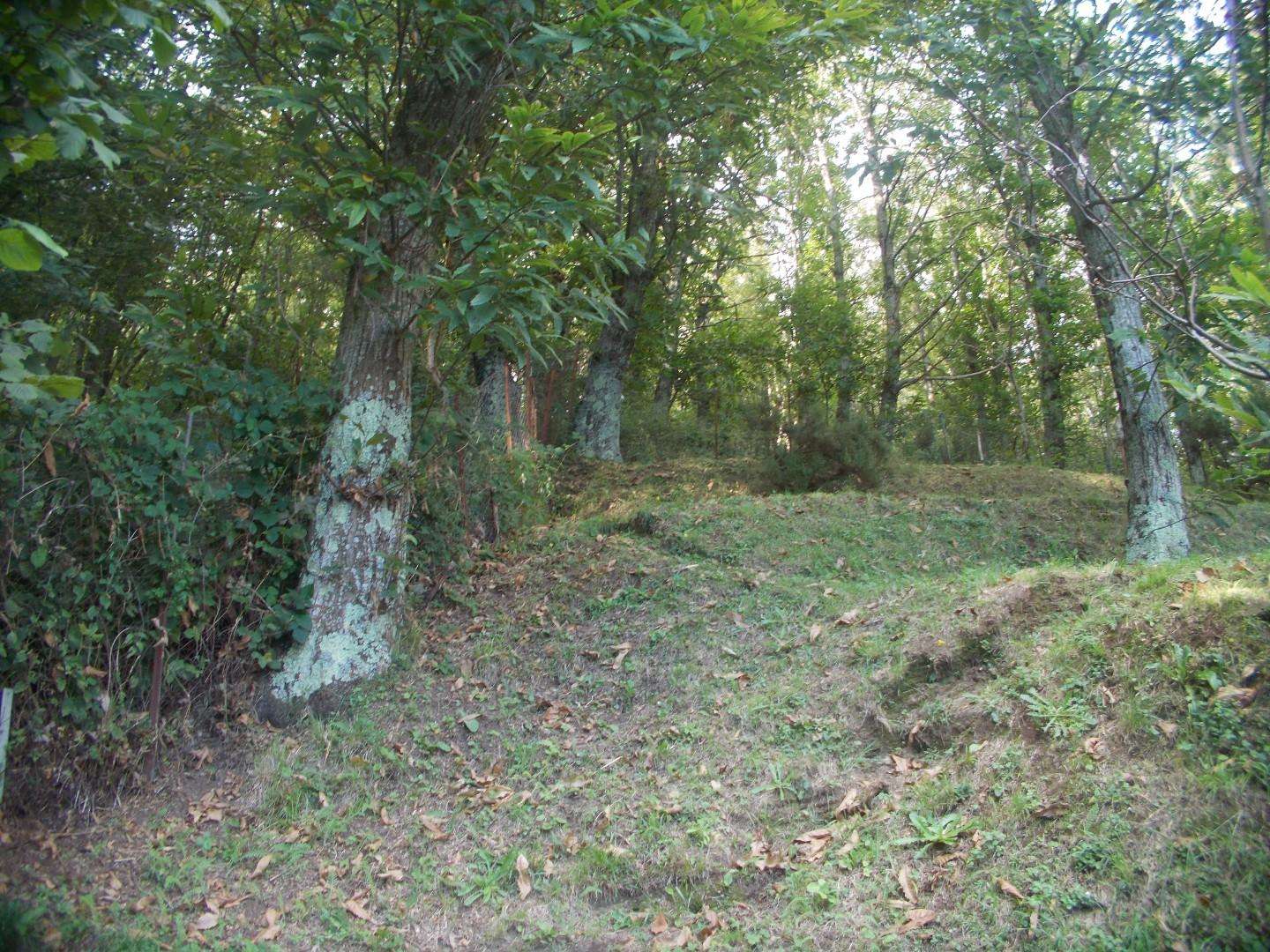  - foto 9