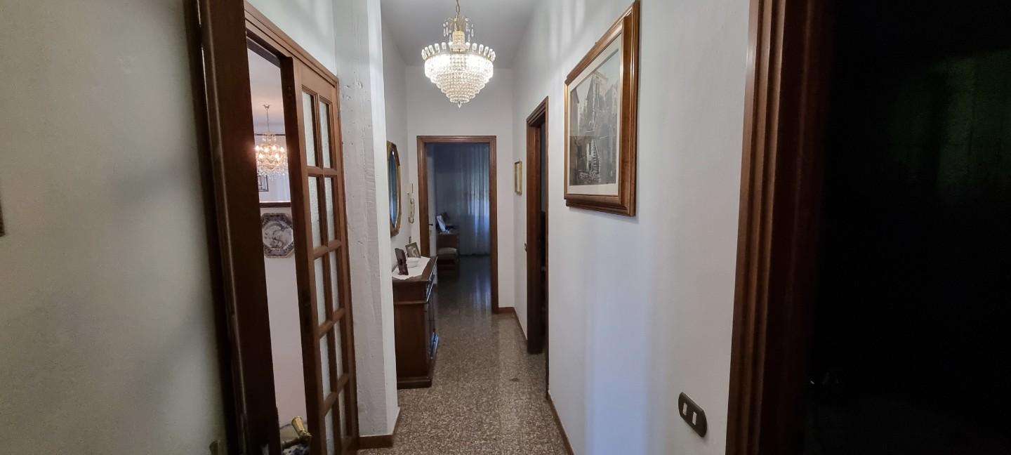  - foto 13