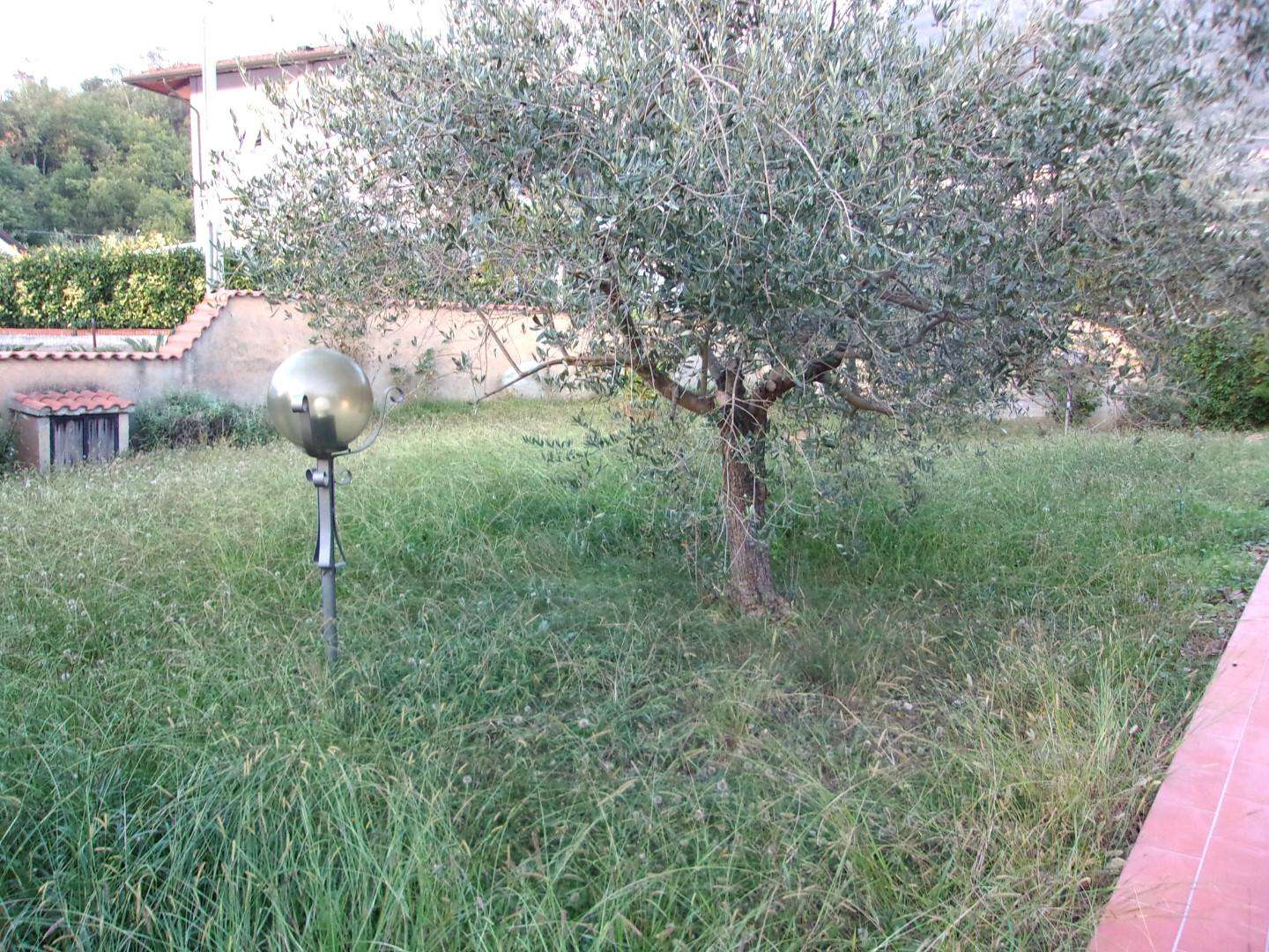  - foto 55