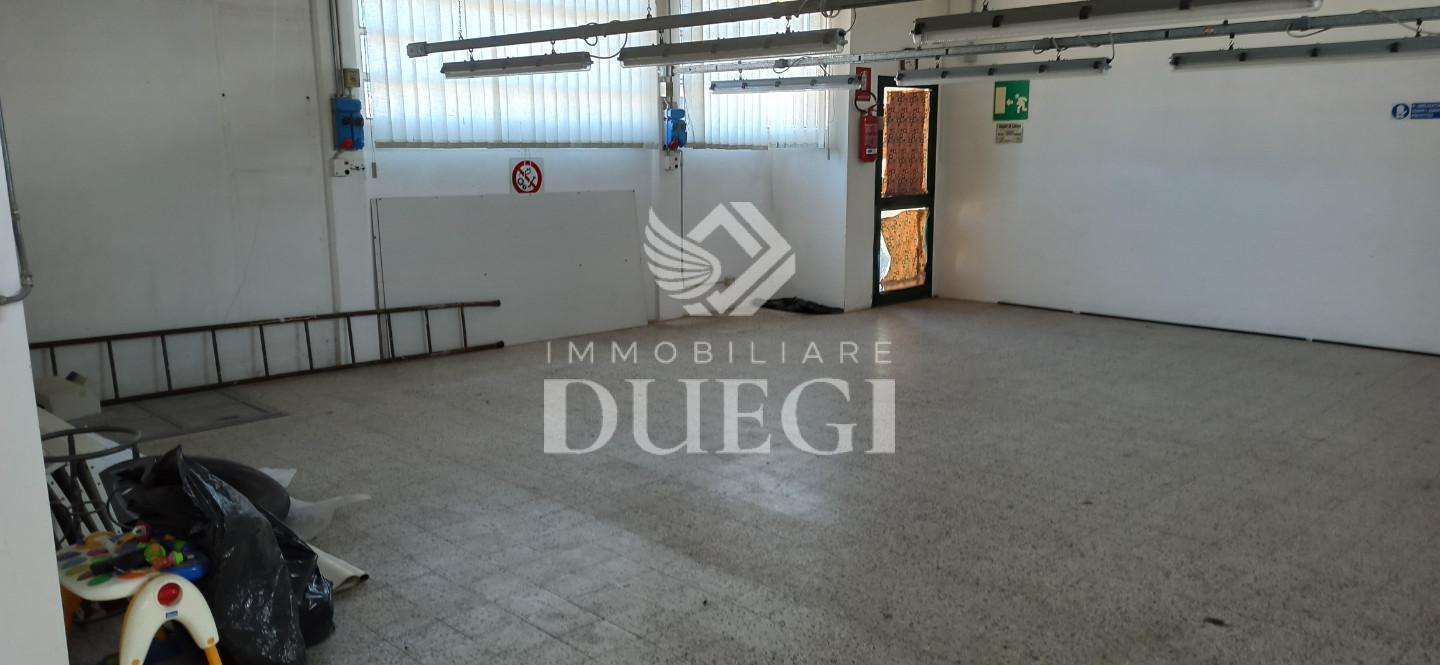 immagine annuncio 3 di 7