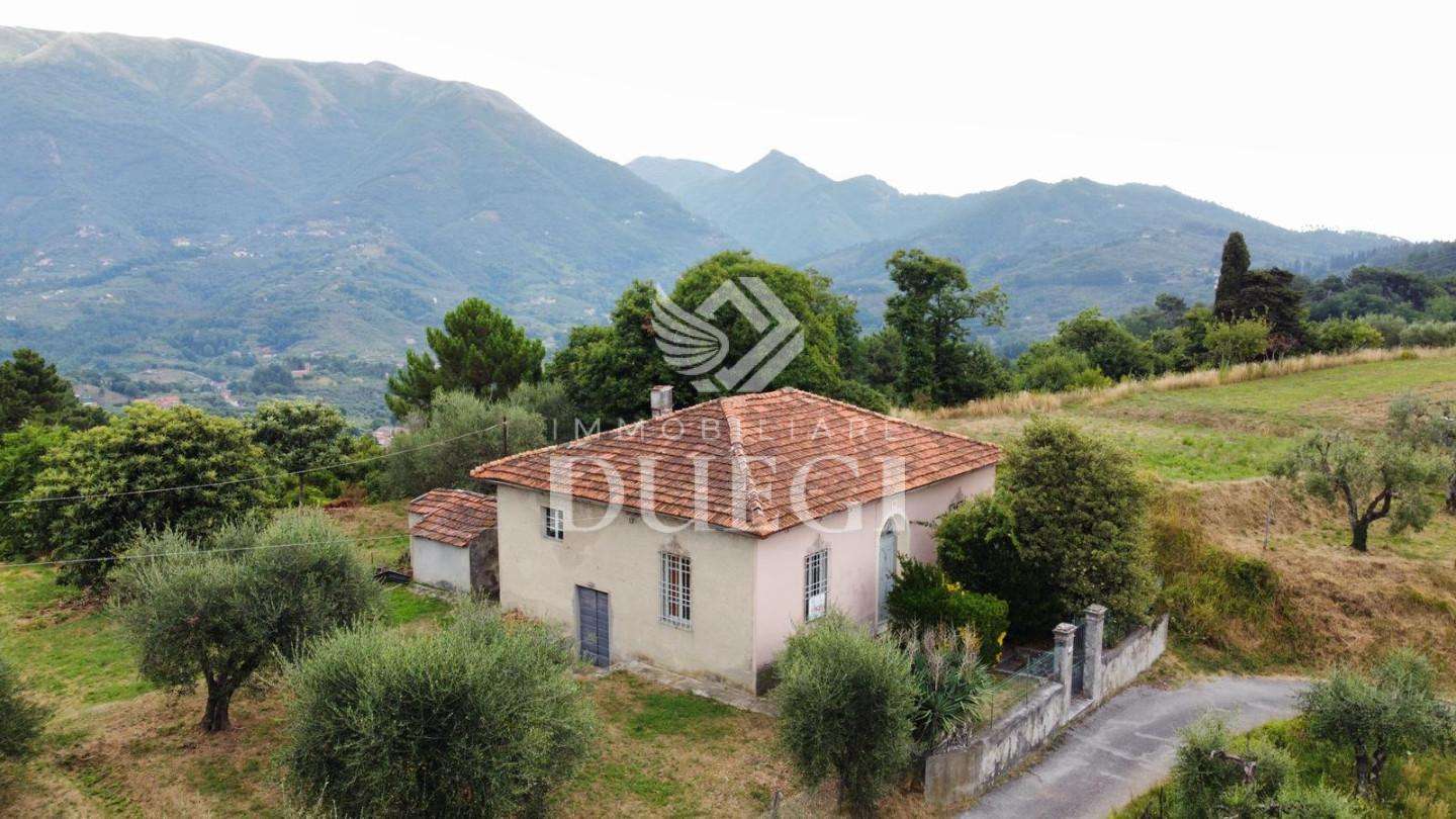immagine annuncio 13 di 14