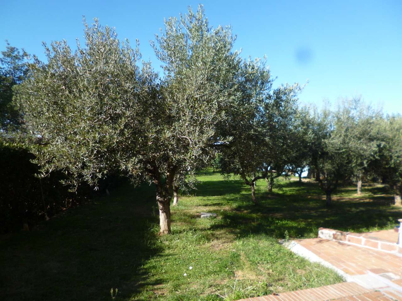  - foto 24