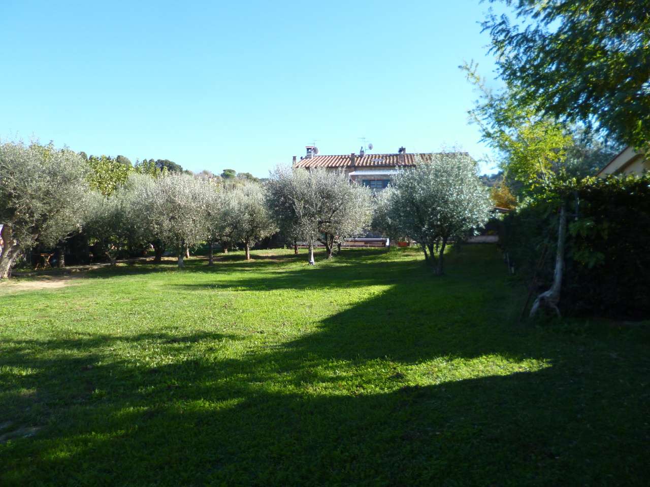 - foto 25