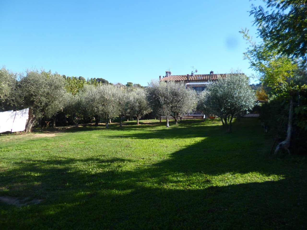  - foto 6