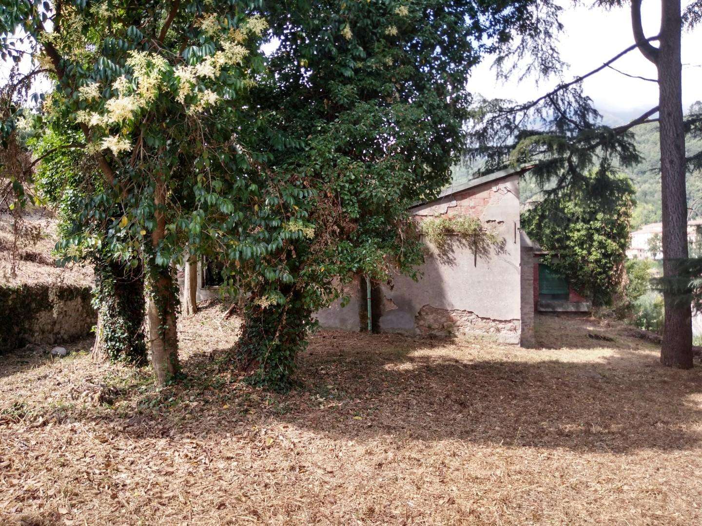  - foto 28
