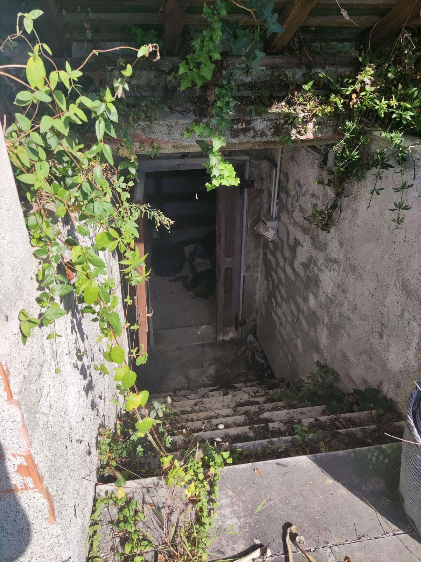  - foto 31