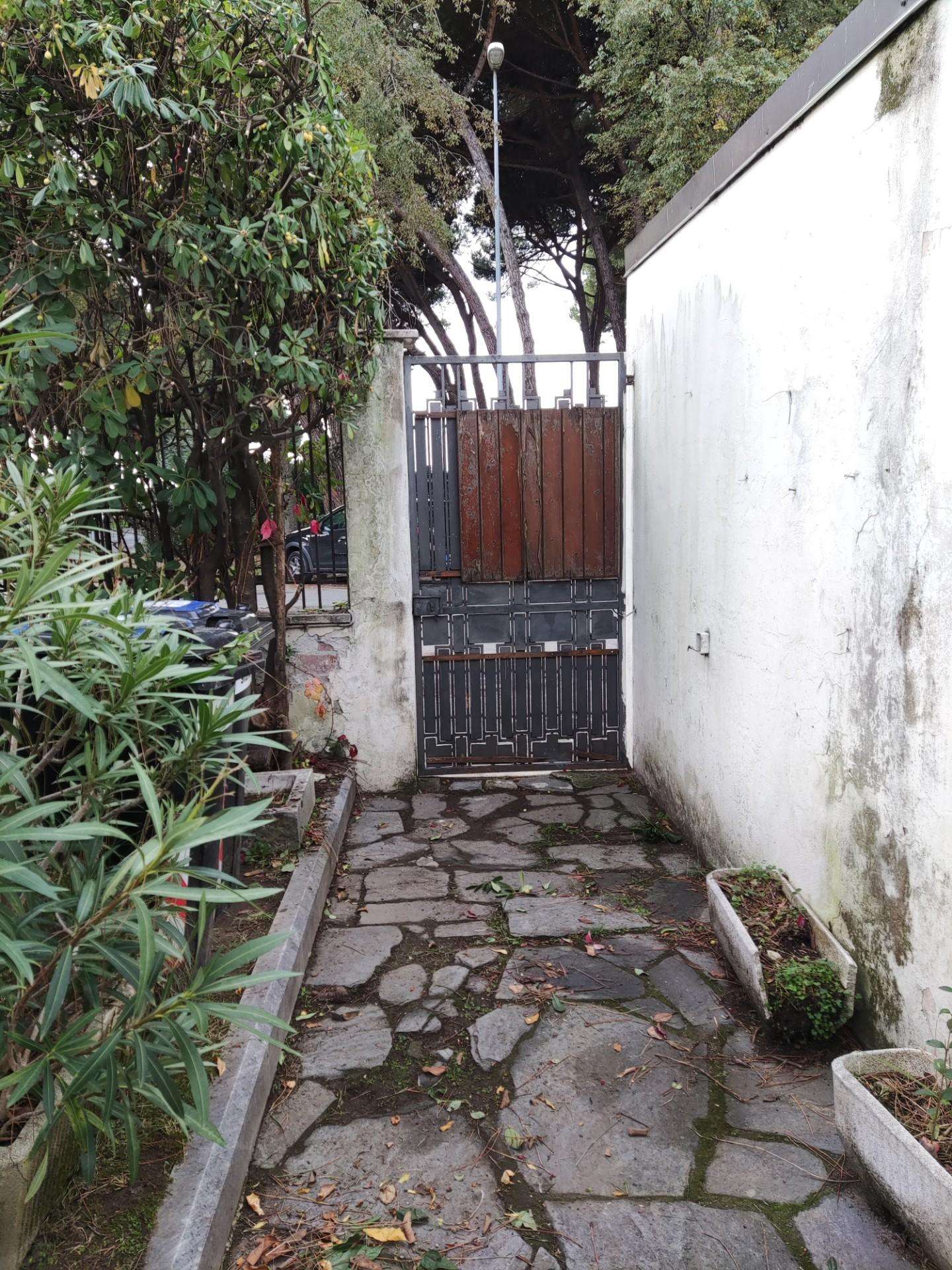  - foto 23