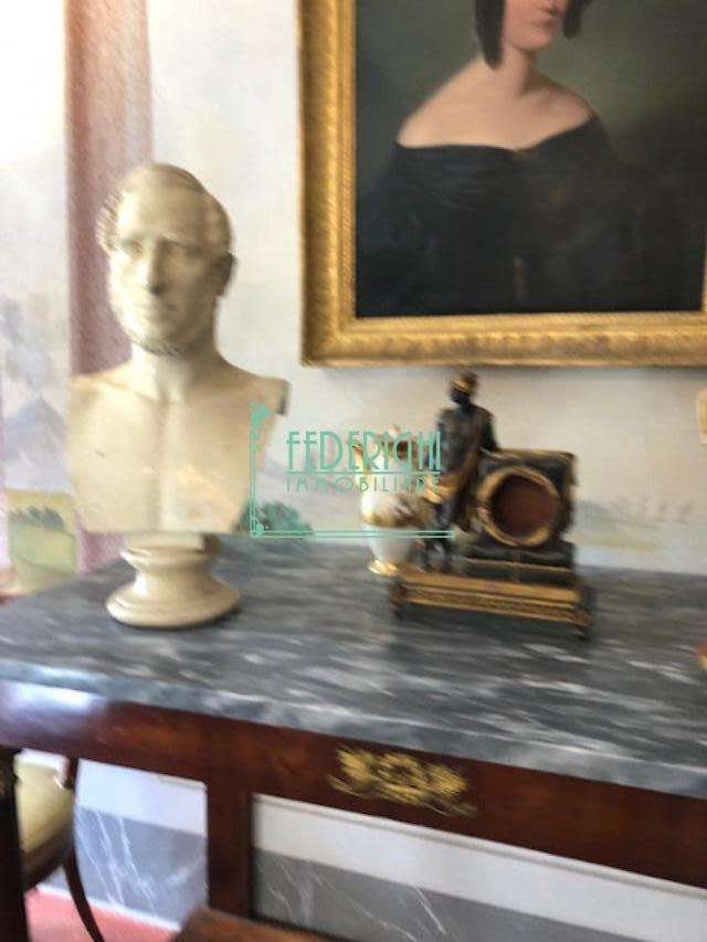  - foto 23