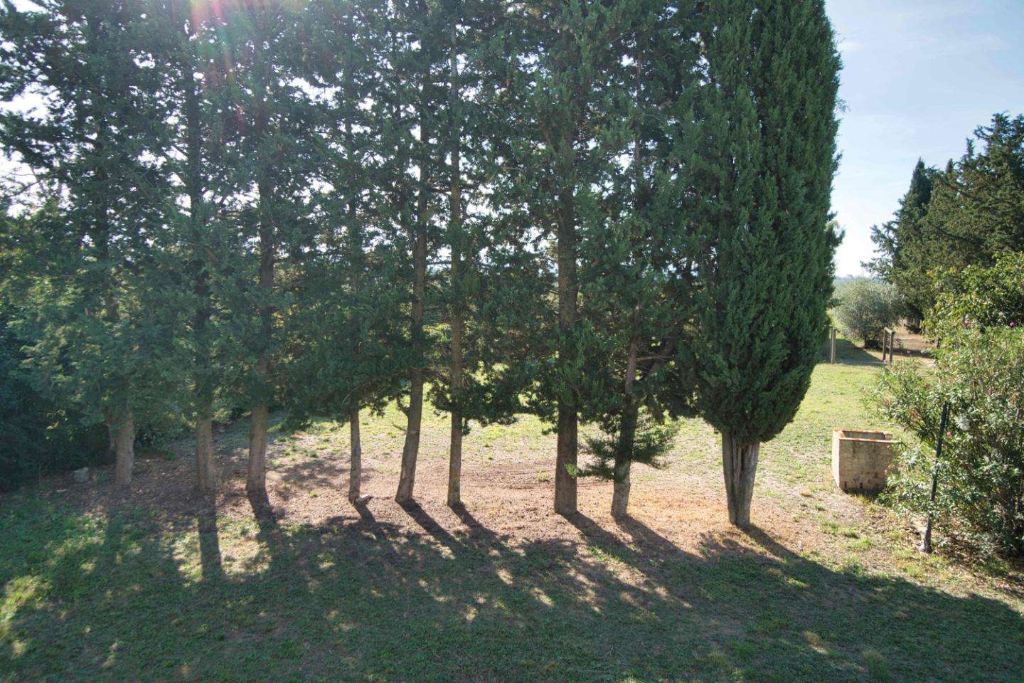  - foto 39