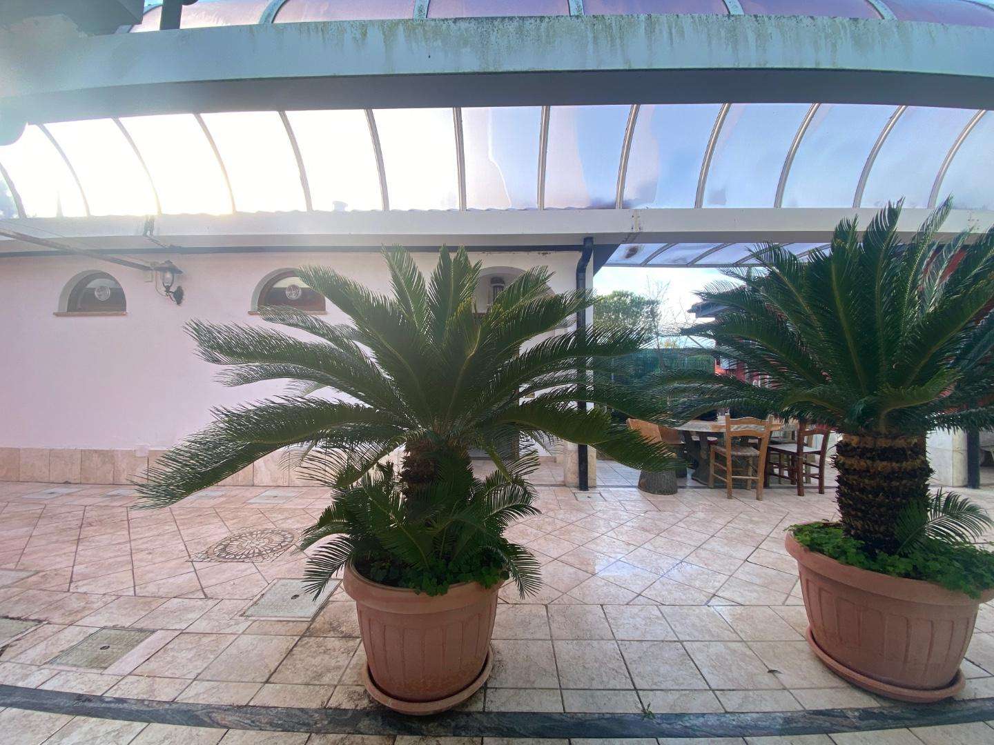  - foto 16