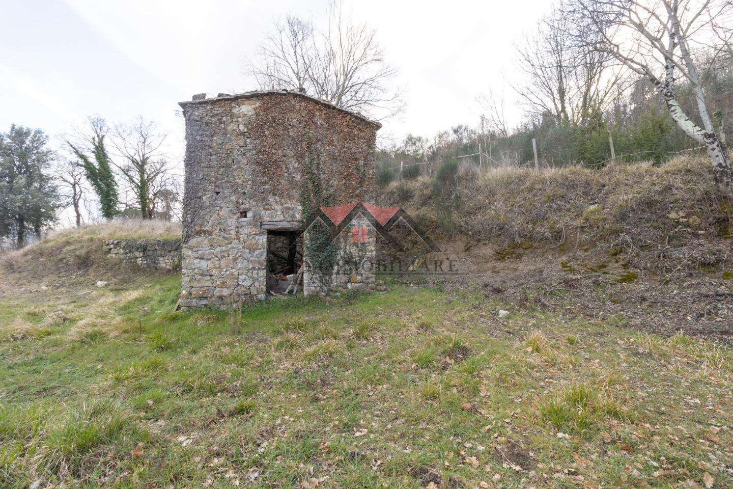 immagine annuncio 6 di 13