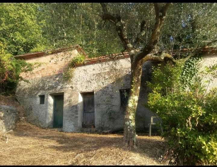  - foto 3
