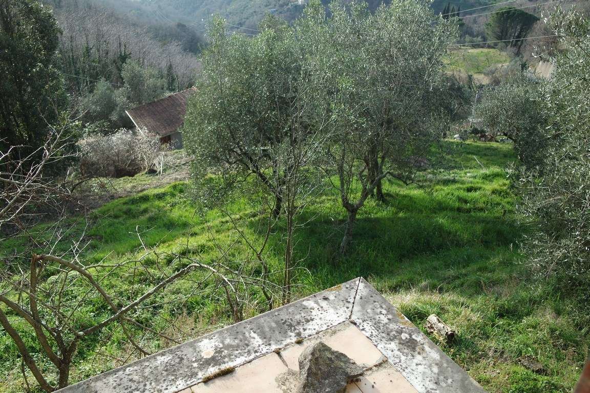  - foto 31