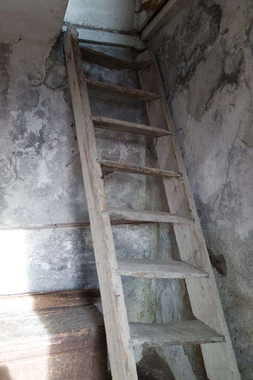  - foto 36
