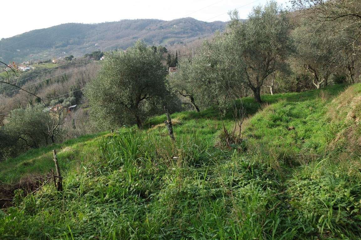  - foto 42