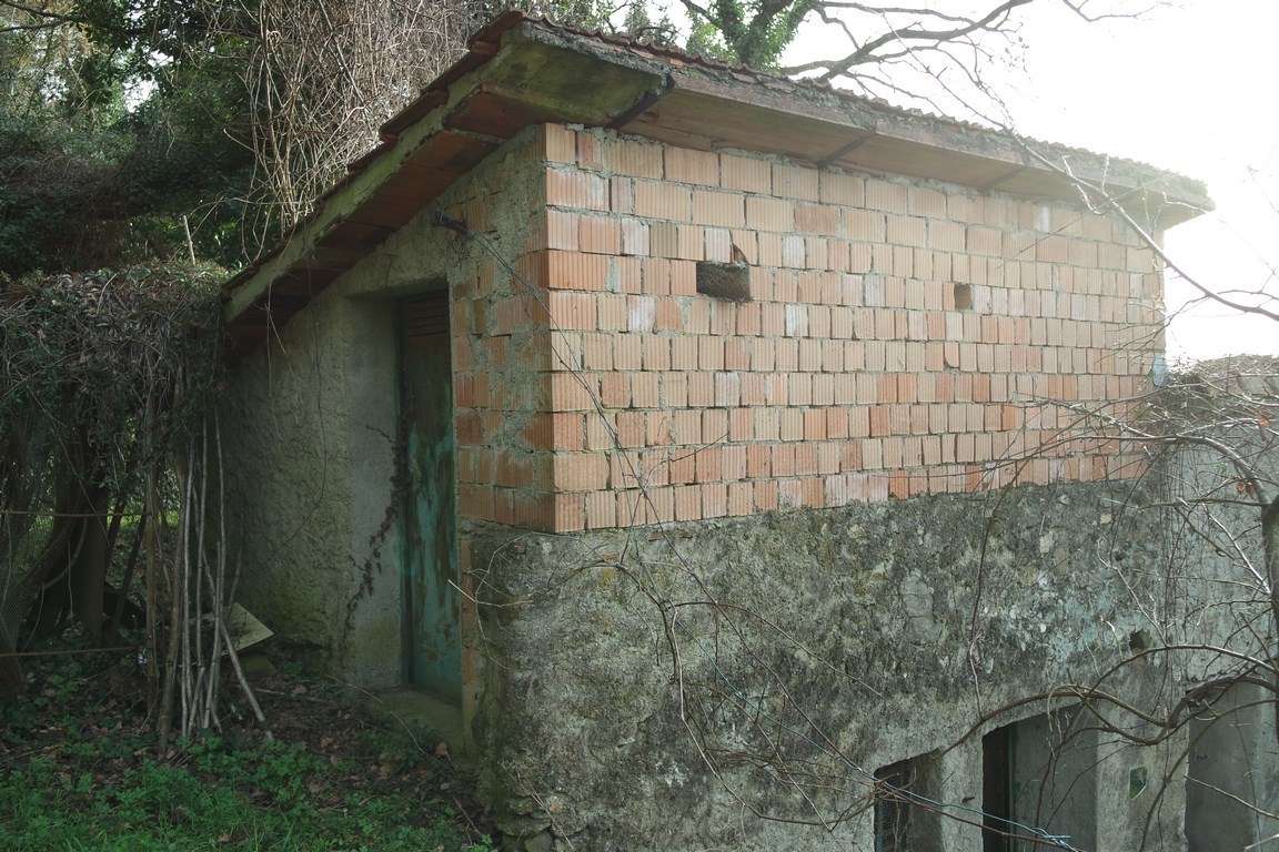  - foto 43