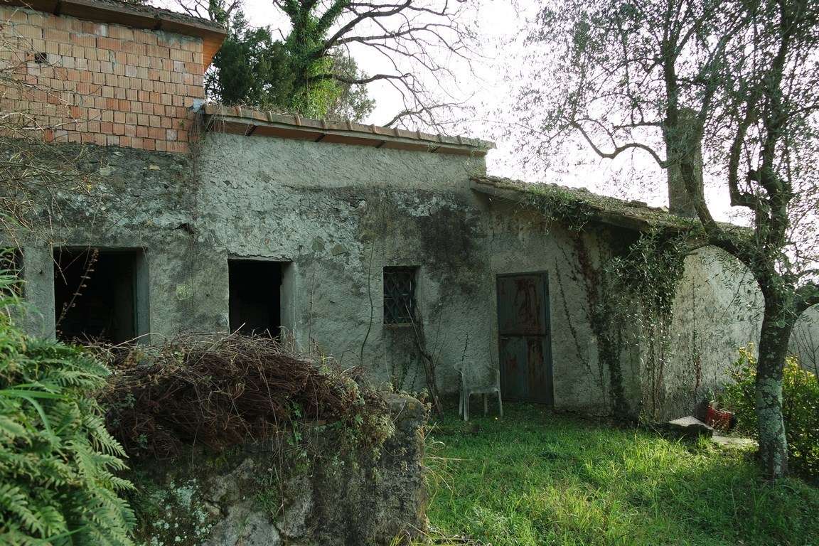  - foto 50