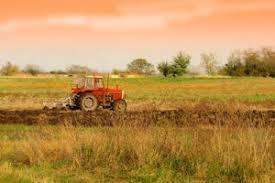 Terreno agricolo in Vendita a Ortonovo Ortonovo