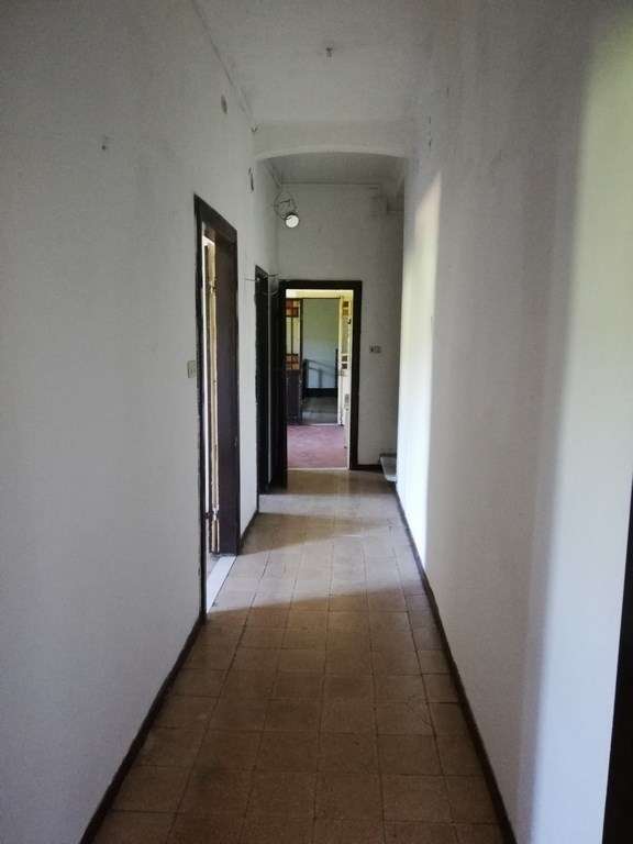  - foto 46